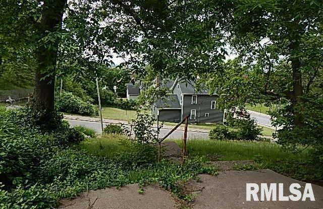1132 W 9th St, Davenport, IA 52804 - view of yard