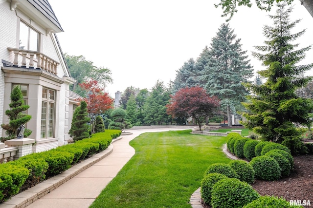 2 Hickory Ct, Rock Island, IL 61201 - view of grassy yard