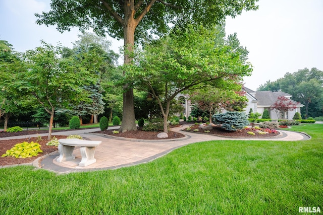 2 Hickory Ct, Rock Island, IL 61201 - view of green lawn
