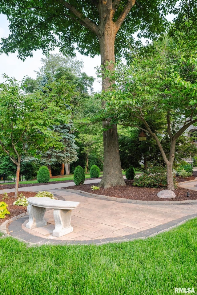 2 Hickory Ct, Rock Island, IL 61201 - view of yard