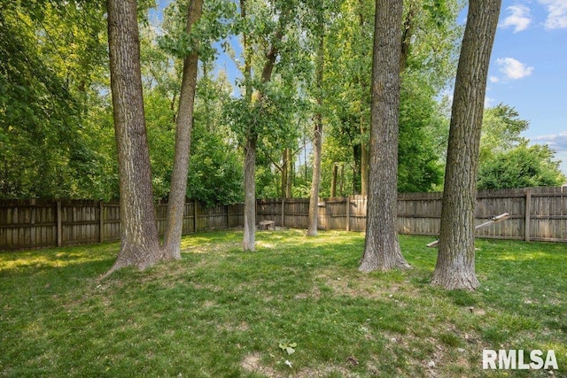 5300 Hillandale Rd, Davenport, IA 52806 - view of fenced backyard