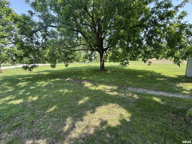 619 Green River St, Colona, IL 61241 - view of green lawn