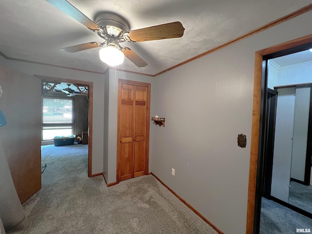 1210 Peterson Ave, Johnston City, IL 62951 - corridor featuring carpet floors, crown molding, and baseboards