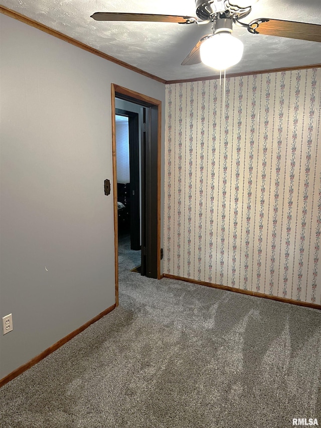1210 Peterson Ave, Johnston City, IL 62951 - spare room featuring carpet floors, crown molding, a ceiling fan, and baseboards