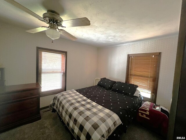 1210 Peterson Ave, Johnston City, IL 62951 - carpeted bedroom featuring crown molding and a ceiling fan