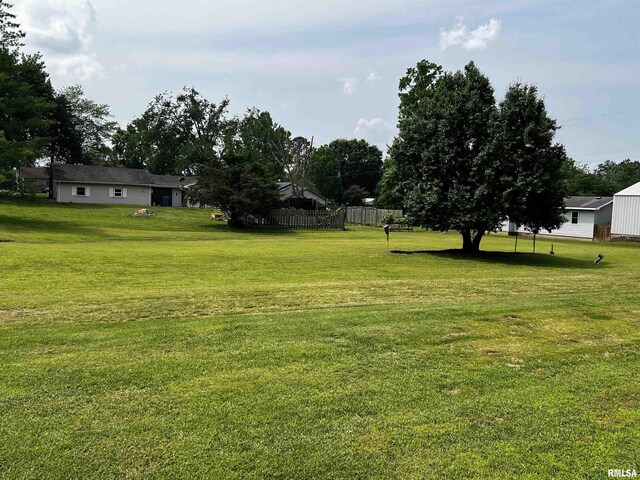 1210 Peterson Ave, Johnston City, IL 62951 - view of yard