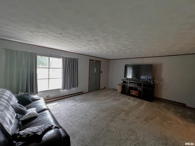 1210 Peterson Ave, Johnston City, IL 62951 - carpeted living area with a baseboard heating unit and a textured ceiling