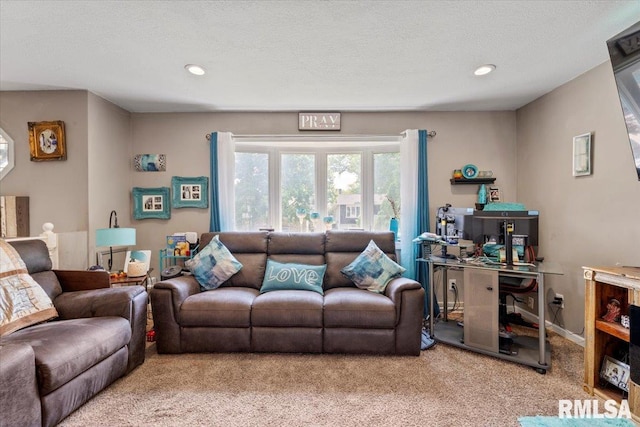 3110 N Pine St, Davenport, IA 52806 - living area featuring carpet and recessed lighting