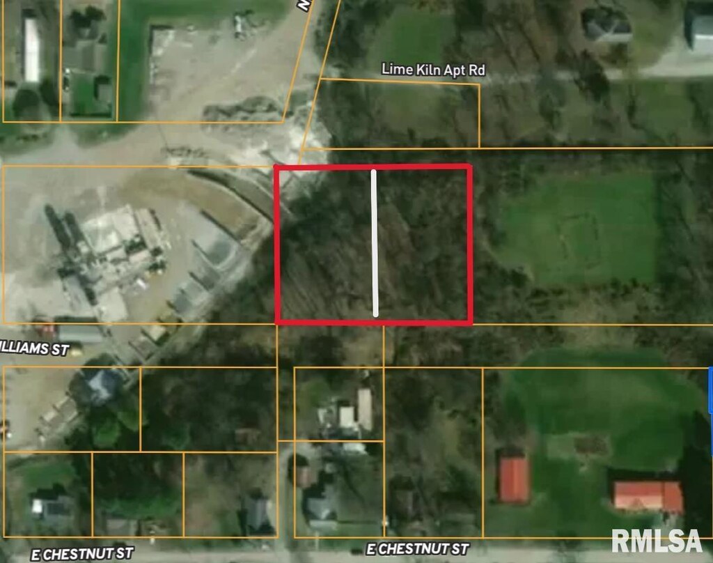 0 Williams St, Anna, IL 62906 - photo 3