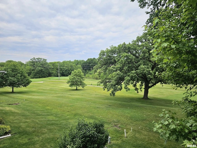 2120 Fareway Dr, Muscatine, IA 52761 - view of home's community featuring a lawn and view of scattered trees
