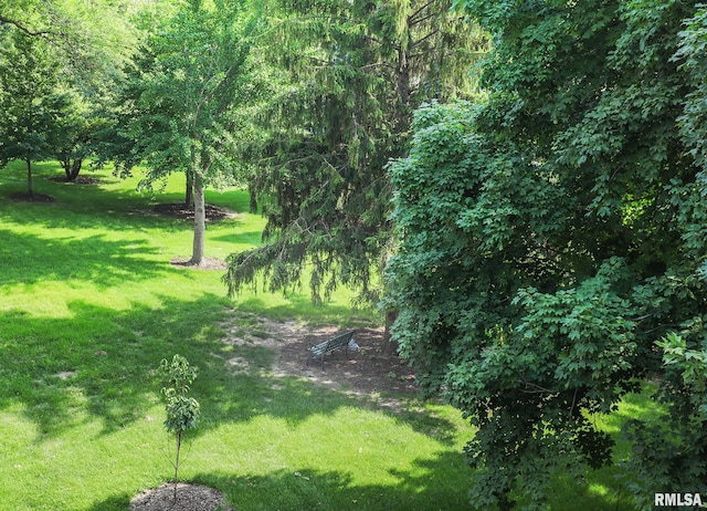 1360 Kimberly Ridge Rd Unit 313, Bettendorf, IA 52722 - view of grassy yard