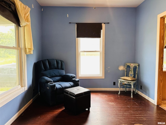 210 SE Front St, Dongola, IL 62926 - living area featuring dark wood-style floors and baseboards