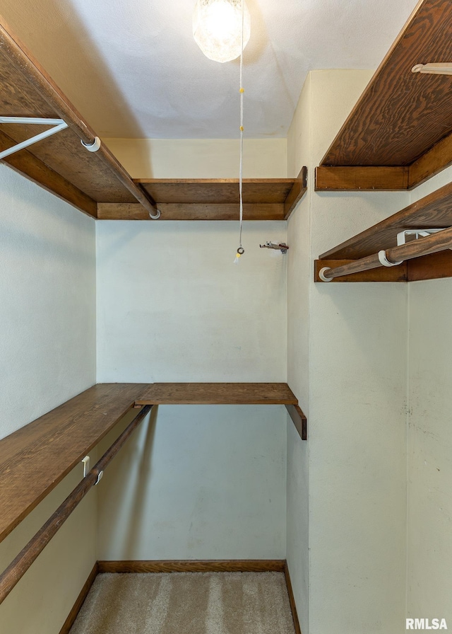 1523 7th St, Orion, IL 61273 - walk in closet with carpet flooring