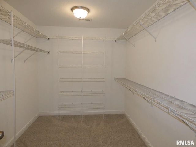 11401 N Joseph St, Dunlap, IL 61525 - walk in closet with carpet