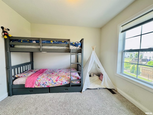 11401 N Joseph St, Dunlap, IL 61525 - photo 42