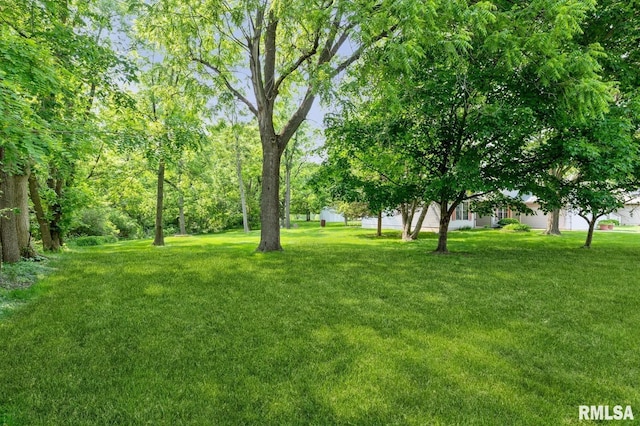 1530 N Pine St, Davenport, IA 52804 - view of green lawn