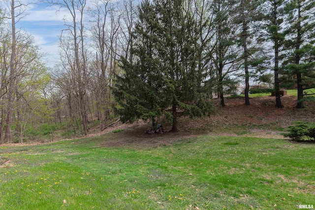 4902 106th Ave, Milan, IL 61264 - photo 12