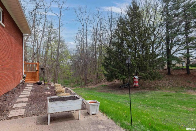 4902 106th Ave, Milan, IL 61264 - photo 13
