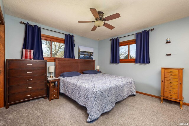 4902 106th Ave, Milan, IL 61264 - photo 19