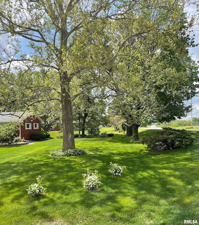4902 106th Ave, Milan, IL 61264 - photo 4