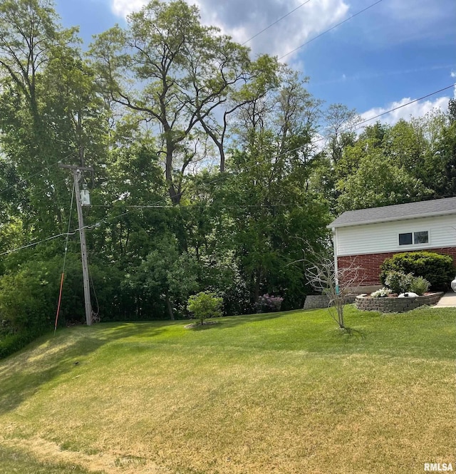 4902 106th Ave, Milan, IL 61264 - photo 5