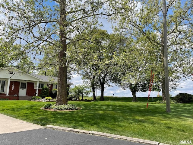 4902 106th Ave, Milan, IL 61264 - photo 7