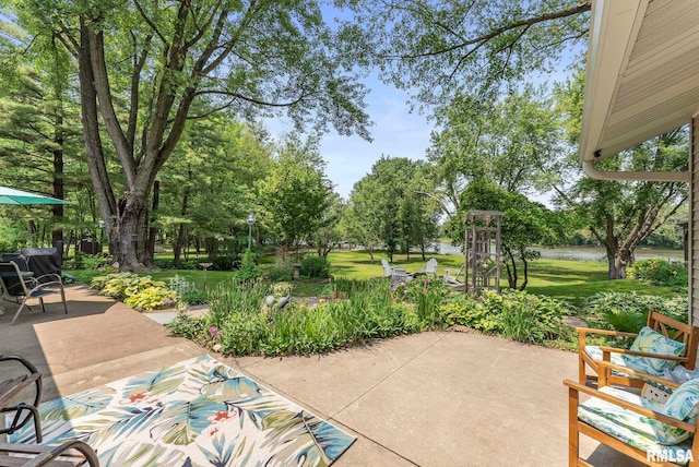 11 Shady Ln, Geneseo, IL 61254 - view of patio / terrace with view of wooded area