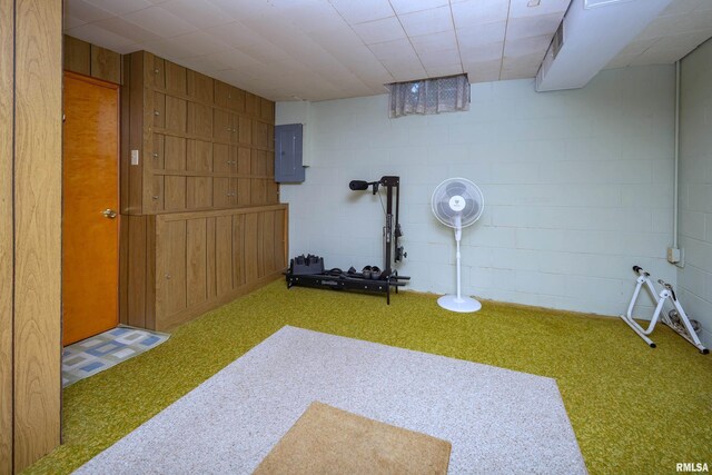 2737 28th Ave, Rock Island, IL 61201 - exercise room featuring electric panel, carpet floors, and concrete block wall