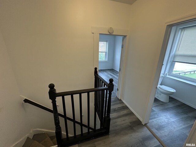 431 N 5th St, Quincy, IL 62301 - stairway featuring wood finished floors and baseboards