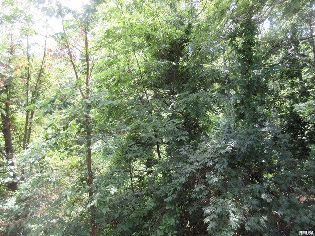 726 51st Ave Unit 20, East Moline, IL 61244 - view of woods