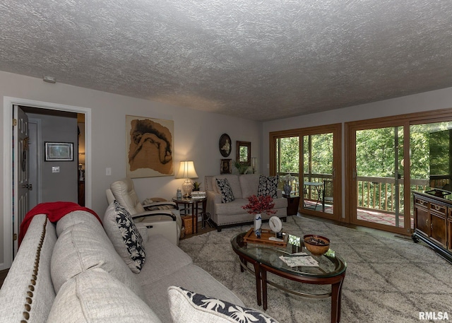 726 51st Ave Unit 20, East Moline, IL 61244 - living room with a textured ceiling and carpet