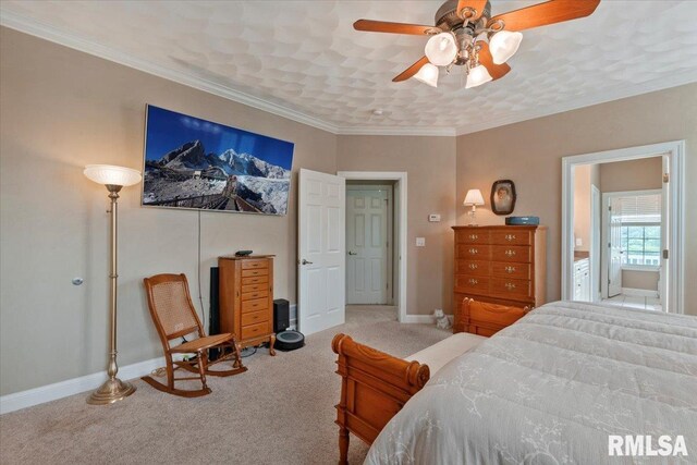 7505 120th Ave, Coal Valley, IL 61240 - photo 20