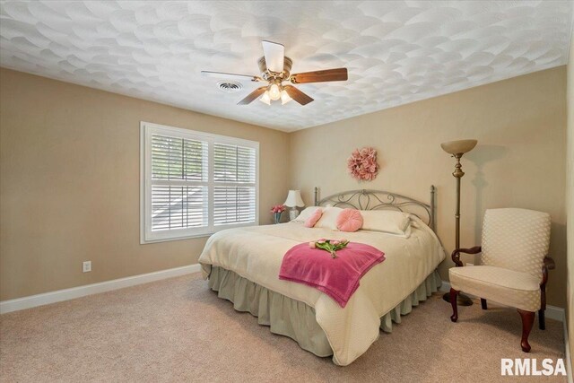 7505 120th Ave, Coal Valley, IL 61240 - photo 26