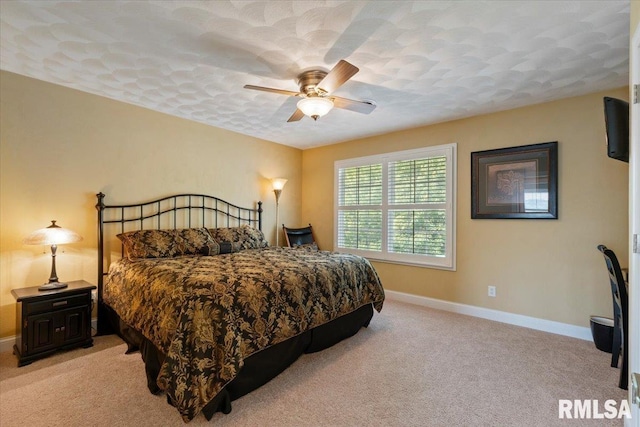 7505 120th Ave, Coal Valley, IL 61240 - photo 37