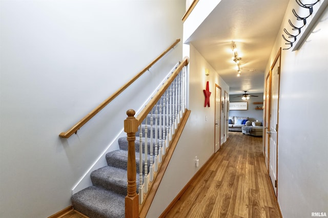 414 11th Avenue A Court, Silvis, IL 61282 - stairway featuring wood finished floors, ceiling fan, and baseboards