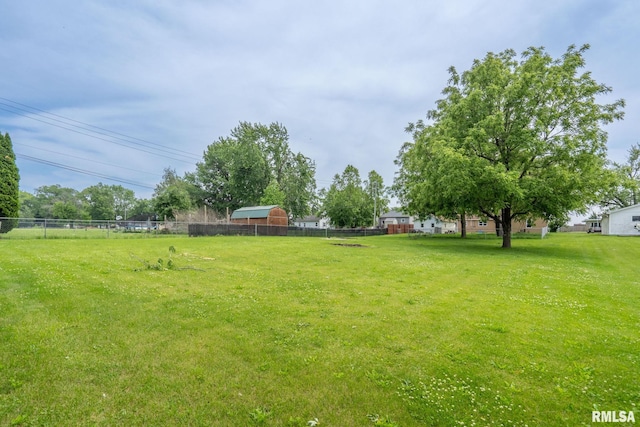 1323 113th Ave, Milan, IL 61264 - view of yard