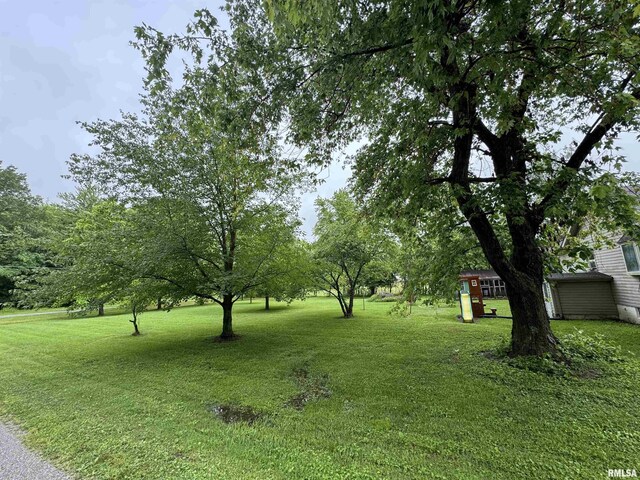 4537 Bullock Ave, Coello, IL 62825