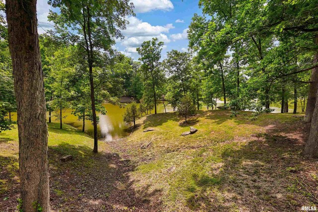 9 White Deer Run, Makanda, IL 62958 - photo 74