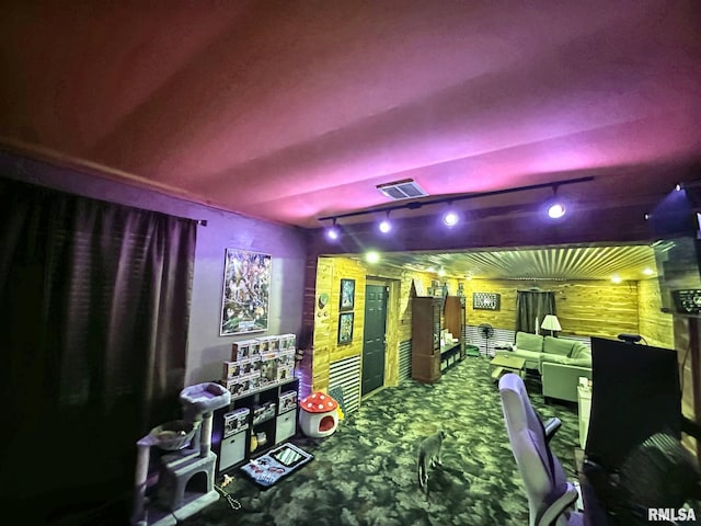 52 Chickasaw St, Mcclure, IL 62957 - playroom with rail lighting and carpet floors