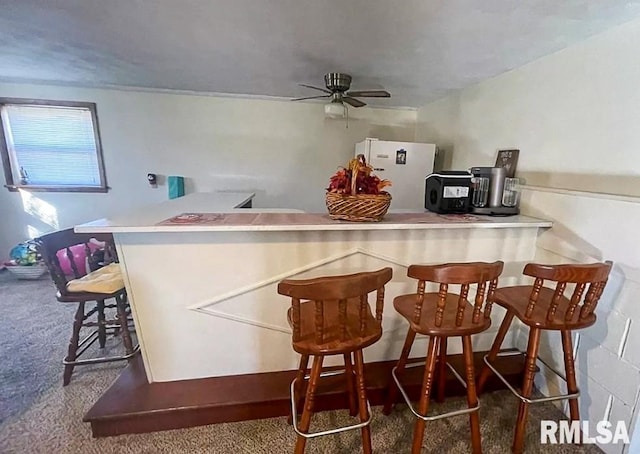 1436 Main Ave, Clinton, IA 52732 - bar with freestanding refrigerator, carpet, and a ceiling fan