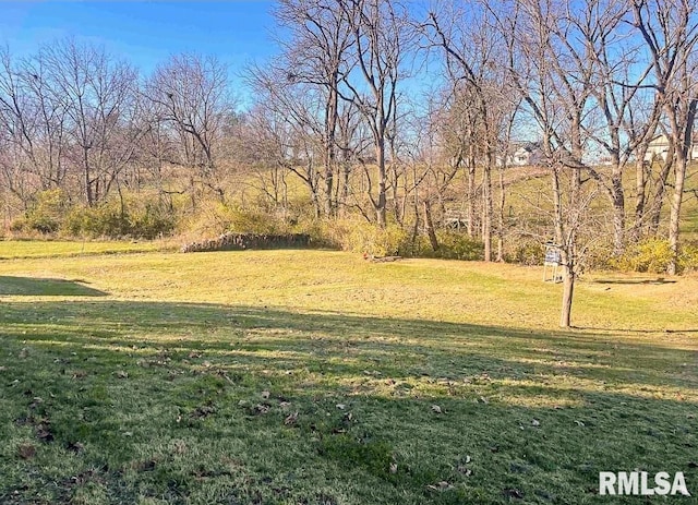 1436 Main Ave, Clinton, IA 52732 - view of green lawn