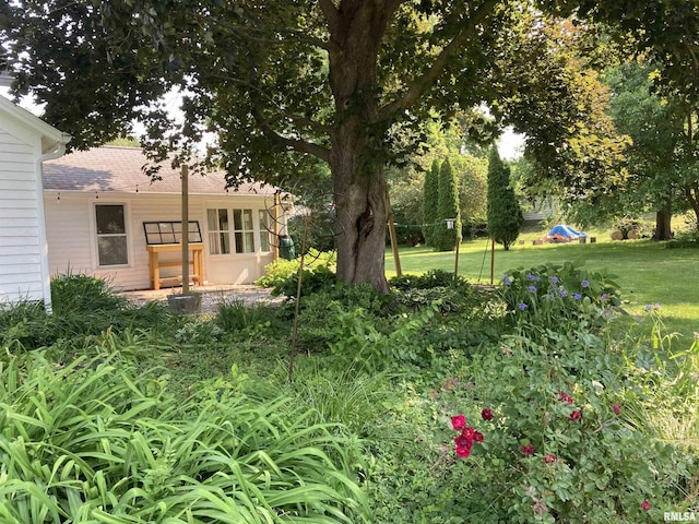 706 N Main St, Port Byron, IL 61275 - view of green lawn