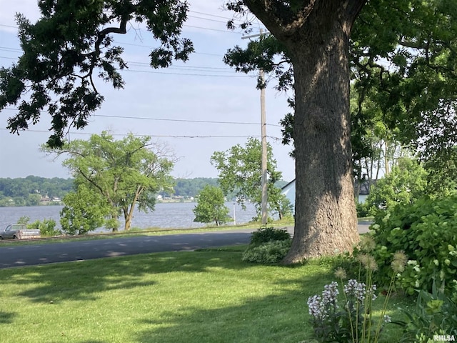 706 N Main St, Port Byron, IL 61275 - water view
