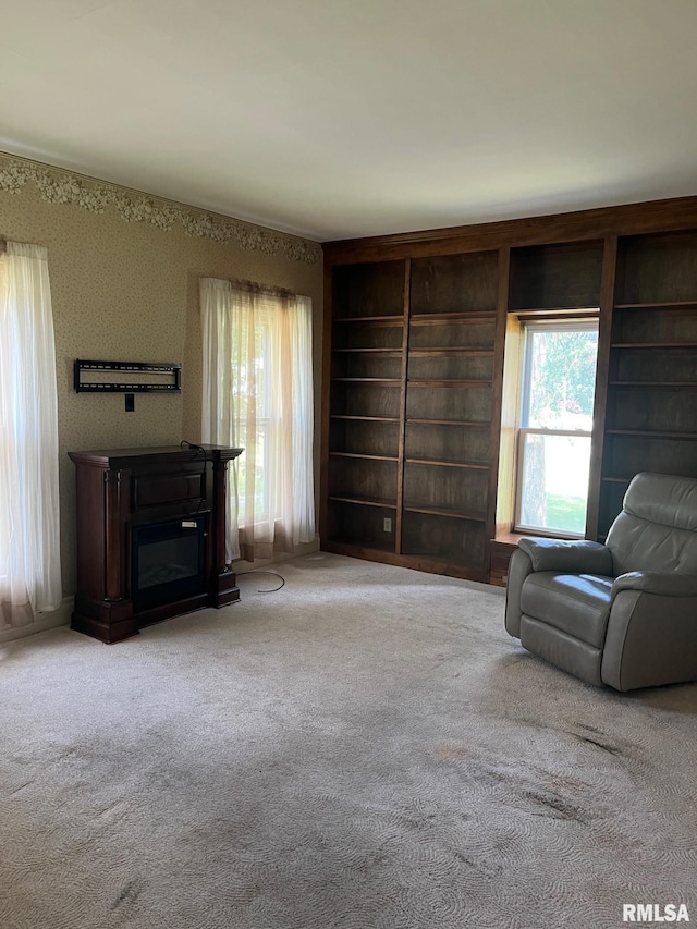 246 Willard St, Kewanee, IL 61443 - sitting room featuring carpet floors, built in shelves, and a glass covered fireplace
