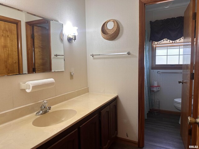 690 Railroad St, Tamms, IL 62988 - bathroom with vanity, wood finished floors, and toilet
