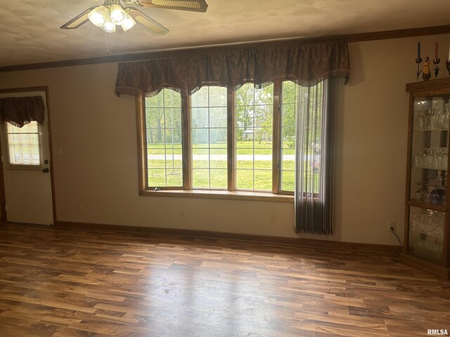 690 Railroad St, Tamms, IL 62988 - spare room featuring plenty of natural light, ceiling fan, wood finished floors, baseboards, and crown molding