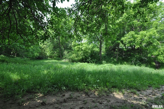 18616 N 35th Ave, East Moline, IL 61244 - view of wooded area