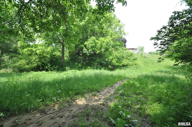 18616 N 35th Ave, East Moline, IL 61244 - view of undeveloped land