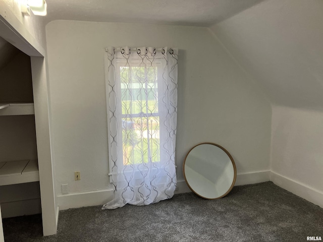 136 W Mill St, Kewanee, IL 61443 - additional living space with carpet and lofted ceiling