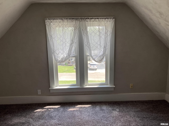 136 W Mill St, Kewanee, IL 61443 - additional living space featuring vaulted ceiling, carpet, and baseboards